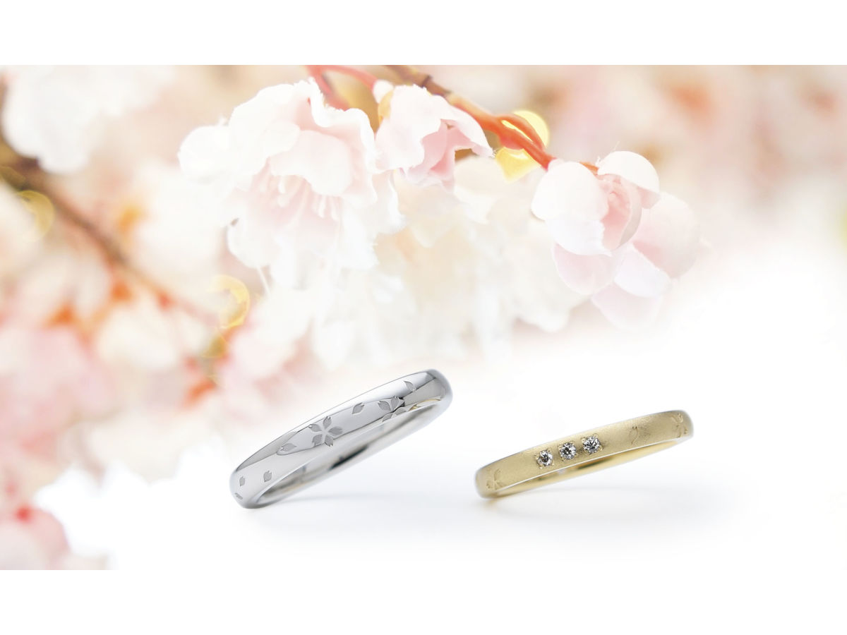 桜の花びらが舞う結婚指輪 2